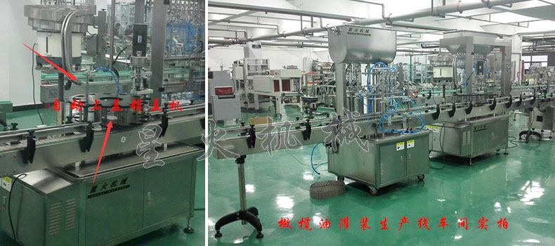 全自动橄榄油灌装生产线-橄榄油自动灌装锁盖贴标生产线